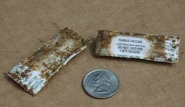 Oral rabies vaccinations will be dropped from planes, hand distributed in far West Texas