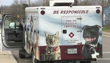 Dog bites 10-year-old boy multiple times at Northeast Side apartment complex, ACS says