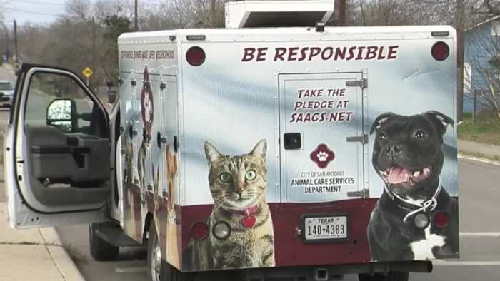 Dog bites 10-year-old boy multiple times at Northeast Side apartment complex, ACS says