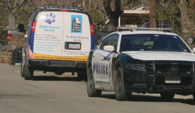 Woman hospitalized after dog attack in Oak Cliff