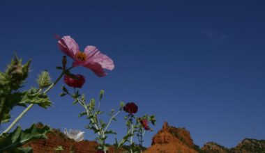 This is the 5th Texas park to join the 'Dark Sky' club