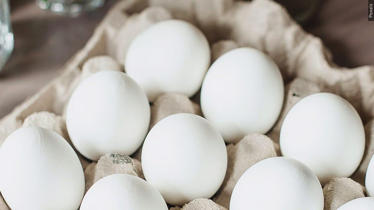 El Pasoans Fighting Hunger getting 10,000 dozen eggs from price-gouging settlement