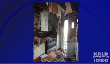 Aftermath of fire caused by cat climbing onto stove