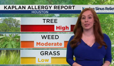 What is Cedar fever, and how is it different from seasonal allergies?