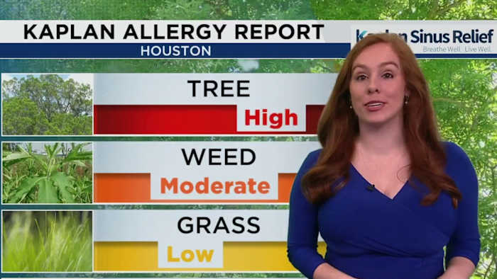 What is Cedar fever, and how is it different from seasonal allergies?