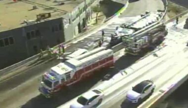 18-wheeler carrying ‘load of bees’ crashes on Finesilver Curve, SAFD says; highway has since reopened