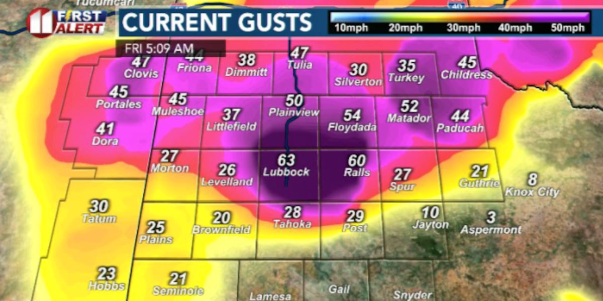 Severe morning winds have eased after strong cold front passage