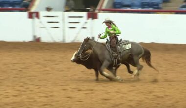 Fort Worth Stock Show & Rodeo: Check out what's going on this weekend