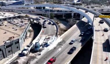 Some San Antonians keep buzzing along even after big rig spills load of bees on nearby highway