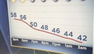 Freezing temperatures in Houston today!!!