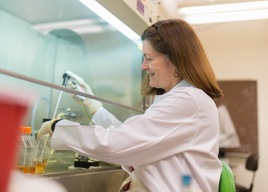 Jannine Cody, PhD, professor of pediatrics, director of pediatric clinical research and director of the Chromosome 18 Clinical Research Center at UT Health San Antonio.