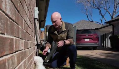 How to protect people, pets, plants and pipes as arctic air hits Houston