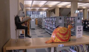 Dallas considers closing 4 more library branches