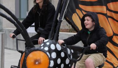 Briscoe Museum to hold free 'Wild West Wildlife Festival' this Saturday