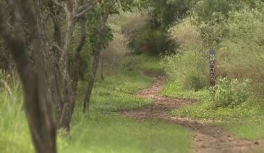 Staffing shortages cited by San Antonio park police after string of vehicle break-ins at McAllister Park