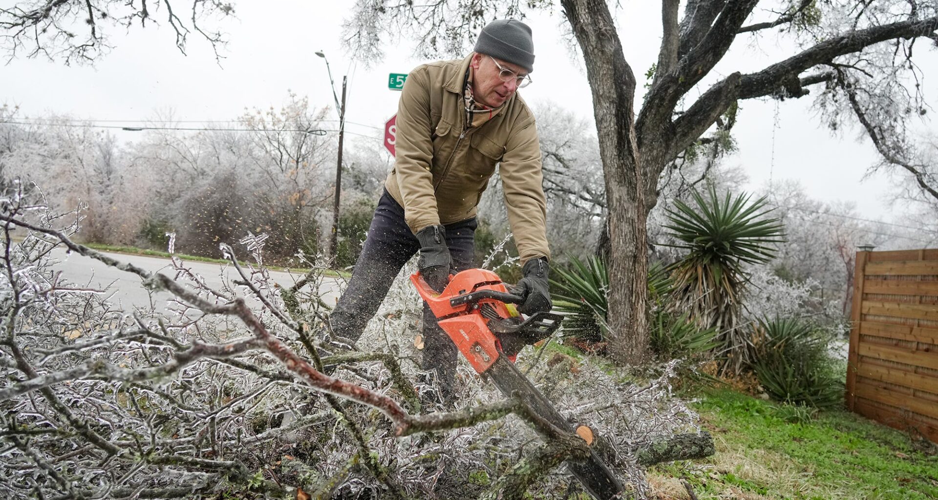 Austin Energy says tree trimming will cut winter outages