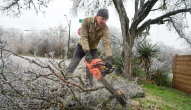Austin Energy says tree trimming will cut winter outages