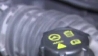 Las heladas ya vienen a Houston