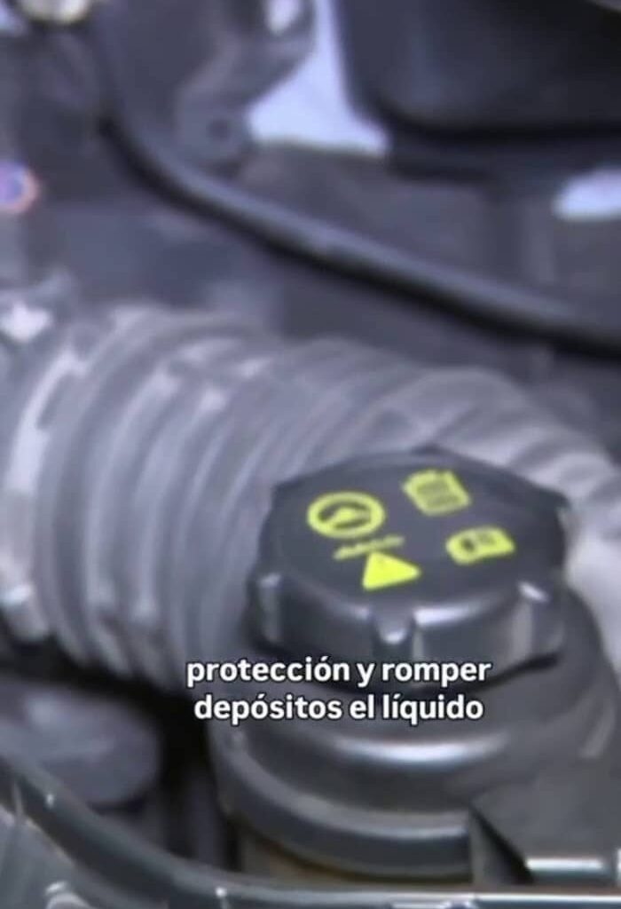 Las heladas ya vienen a Houston