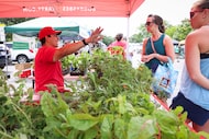 Customers stop by Bobby’s Best Plant Starts at a farmers market operated by Good Local...