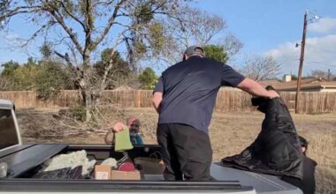 San Antonio nonprofits seek donations, animal foster homes ahead of weekend freeze