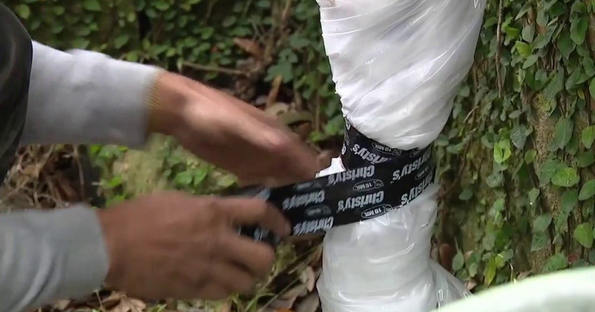 Houston repair team preps sprinklers for weekend freeze