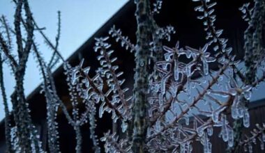 KSAT’s full coverage of wintry weather in San Antonio, Hill Country