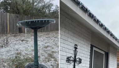 Gov. Greg Abbott adds Bexar County to disaster declaration during winter weather