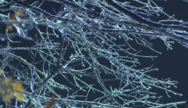 Austin weather: Extreme Cold Warning still in effect, roads still hazardous