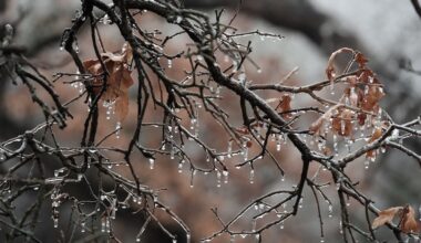 Texas expands winter storm disaster declaration to include San Antonio area