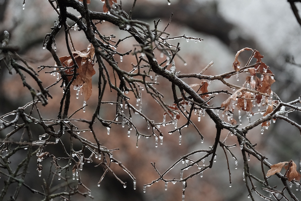 Texas expands winter storm disaster declaration to include San Antonio area
