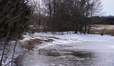 3 young brothers in Texas die after falling through icy pond during winter storm