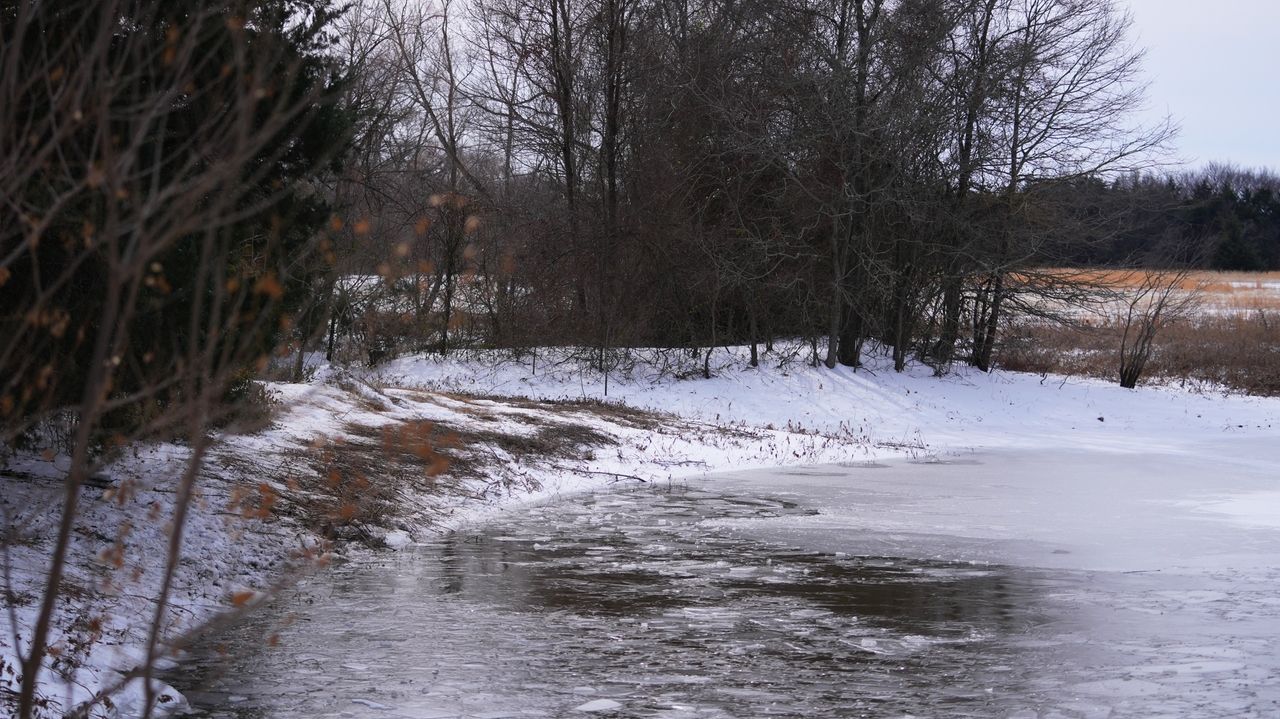3 young brothers in Texas die after falling through icy pond during winter storm