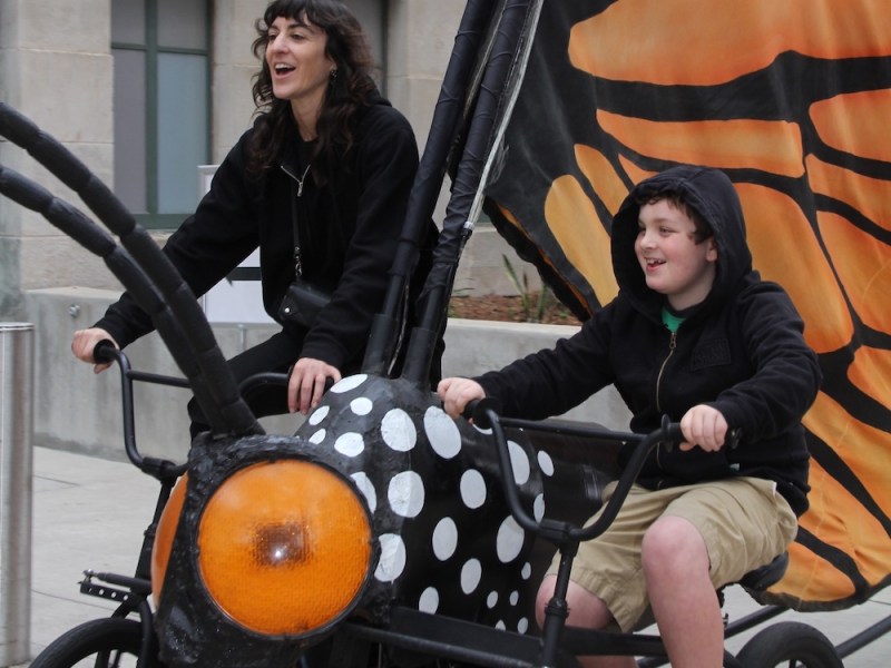 Briscoe Museum to hold free ‘Wild West Wildlife Festival’ this Saturday