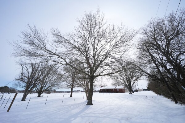 Ice and snow cover the exterior of a residence near a pond where neighbors say three young boys died after falling into the water, Tuesday, Jan. 27, 2026, in Bonham, Texas. (AP Photo/Julio Cortez)