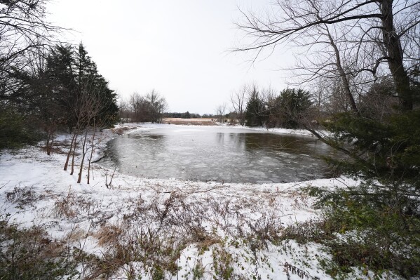A pond where neighbors say three young boys died after falling into the water is seen Tuesday, Jan. 27, 2026, in Bonham, Texas. (AP Photo/Julio Cortez)