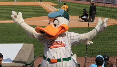 Long Island Ducks sold to REV Entertainment, a partner of the Texas Rangers