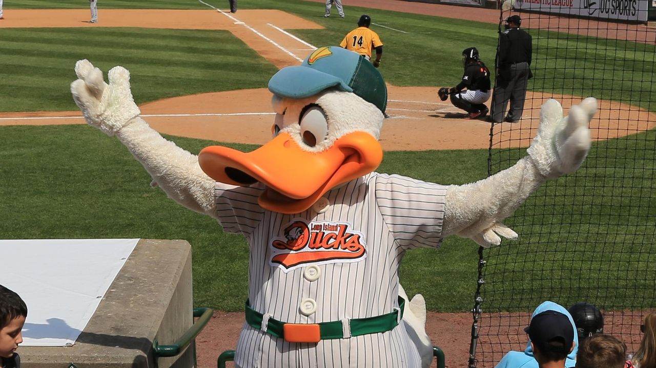Long Island Ducks sold to REV Entertainment, a partner of the Texas Rangers