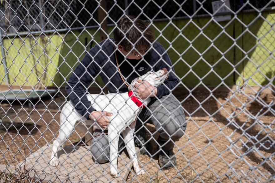 A man in a blue long sleeve shirt holds a white dog with a red collar in a kennel at Austin Pets Alive