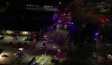 Fight between man who allegedly exposed himself on METRO train and deputies ends with deputy cut, suspect dead