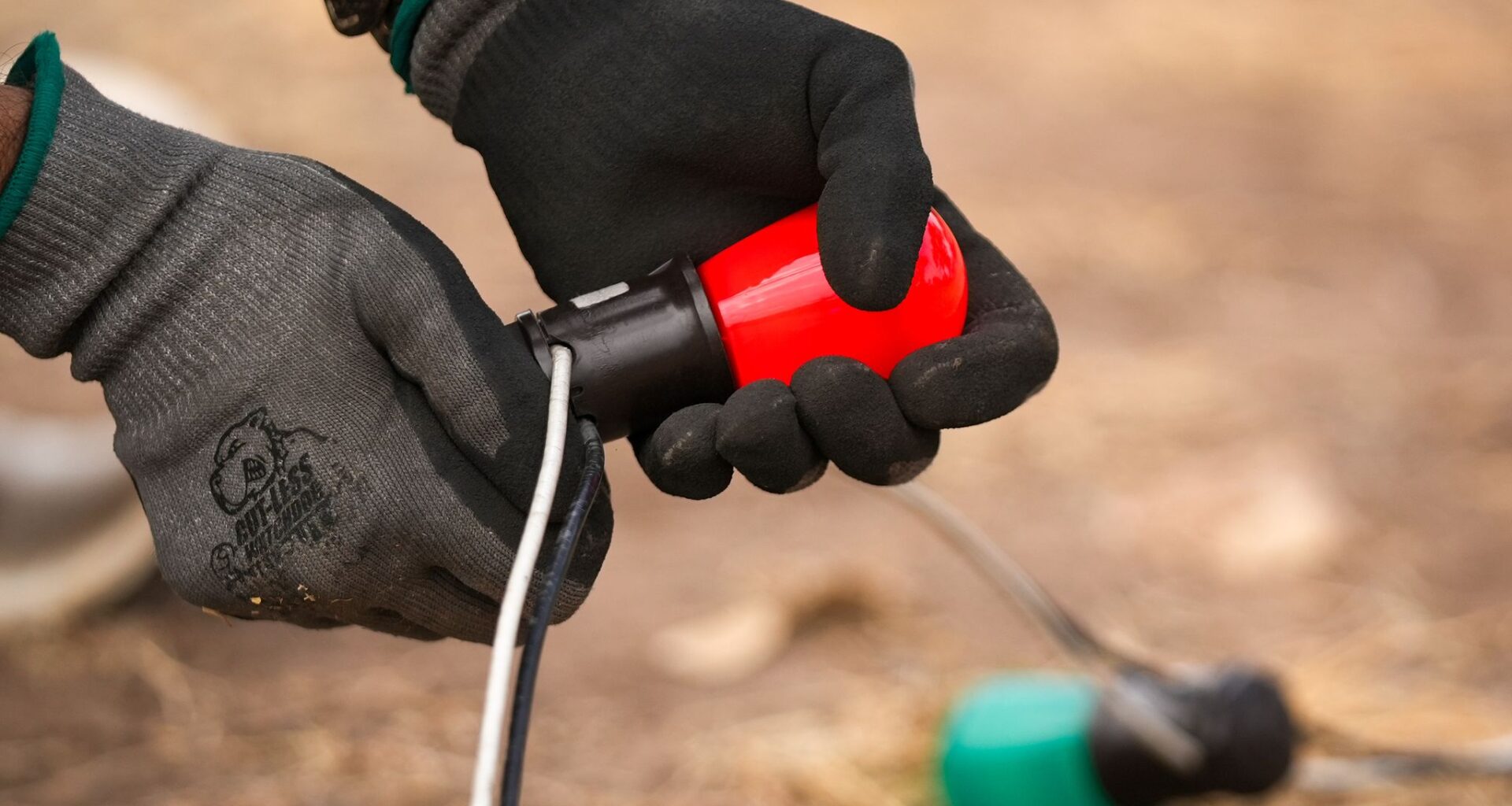 Austin Energy says it was forced to delay power line maintenance