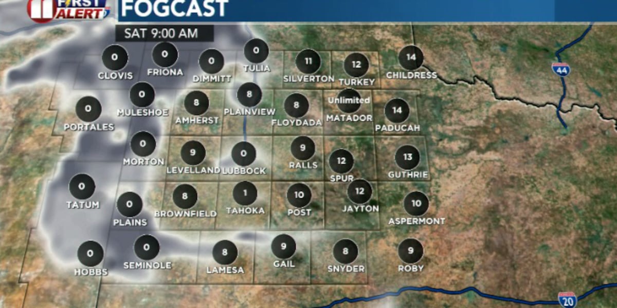 Cold temperatures and possible travel impacts early Saturday