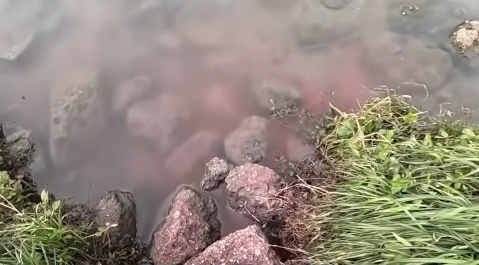 Houston Police: Sewage flowing from online grocery giant into Brays Bayou