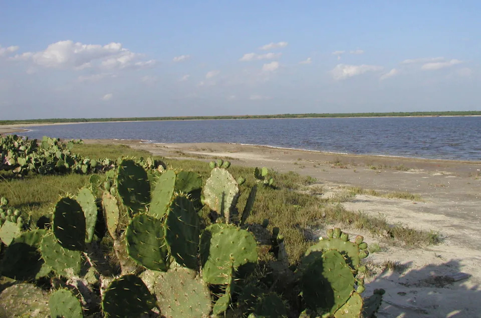 La Sal del Rey Lake in rural Hidalgo County, Texas, is shown in this handout photo made June 17, 2004. An environmental group has recognized a pair of historic Rio Grande Valley salt lakes as key nesting sites for the United States' largest shorebird, the U.S. Fish & Wildlife Service said Thursday, June 24, 2004. (AP Photo/ U.S. Fish & Wildlife Service, Patty Alexander) (PATTY ALEXANDER/AP)