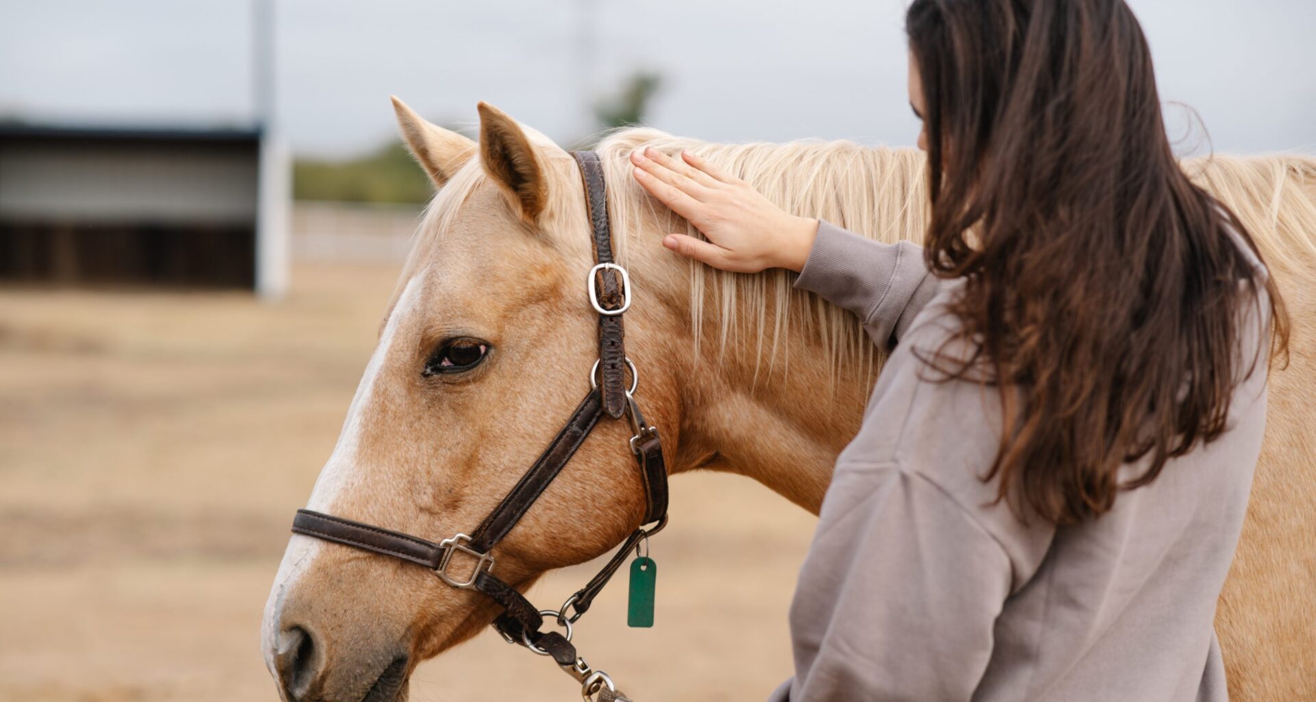New Tarrant County residential facility supports teenage girls with eating disorders