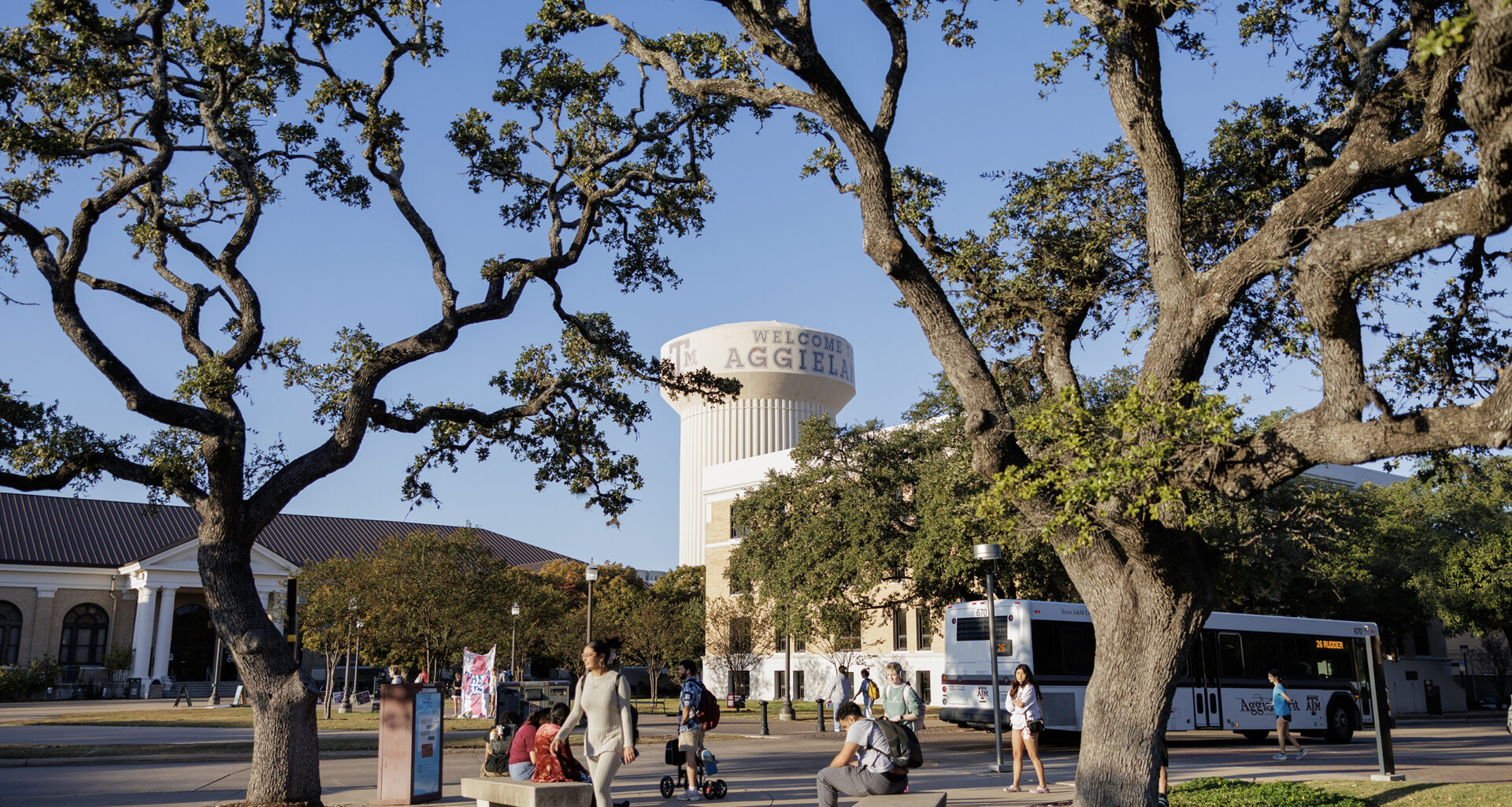 Texas A&M eliminates women’s and gender studies program