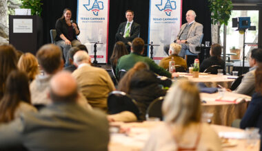 Cannabis is here to stay, Texas lawmakers say