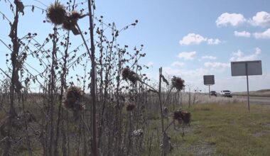 Nueces County burn ban in effect through March 28