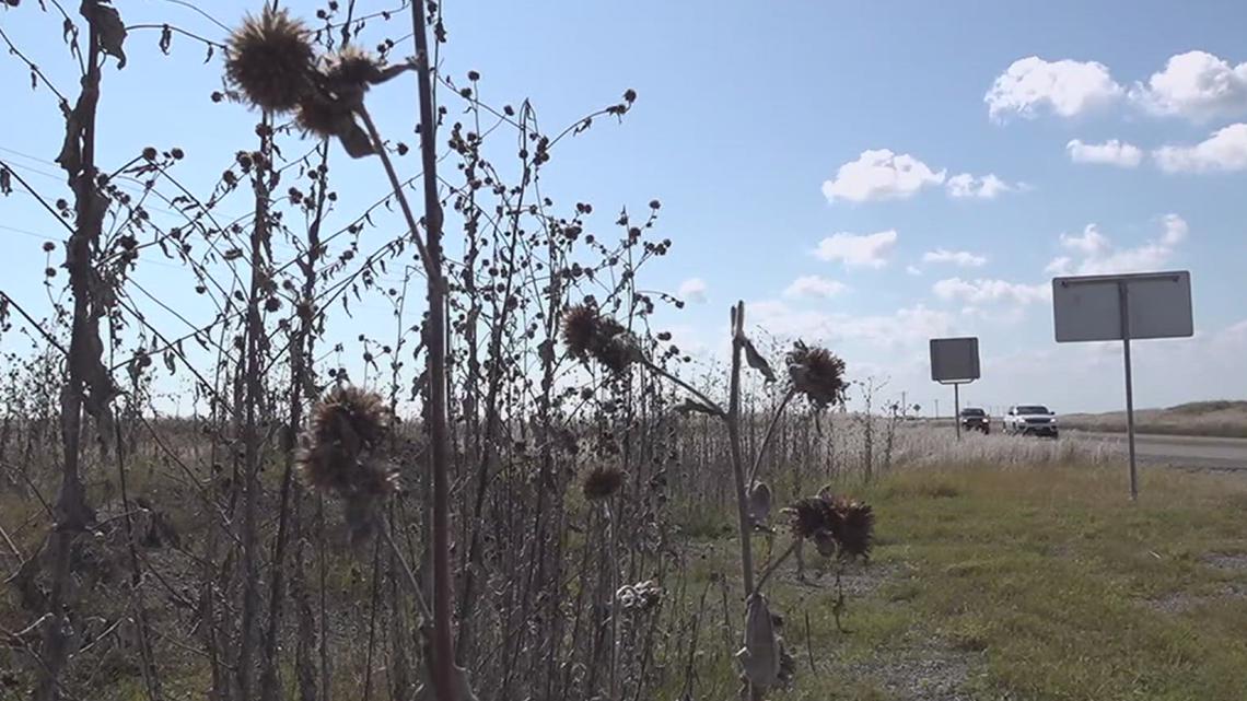 Nueces County burn ban in effect through March 28