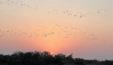 Port A Outdoors - Port Aransas South Jetty